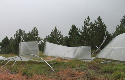 Picture of a mangled Aquashield enclosure after a 70mph wind blew it away